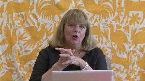 CVI Overview - Basic Principles