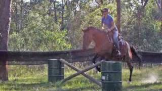 Bridleless Jumping