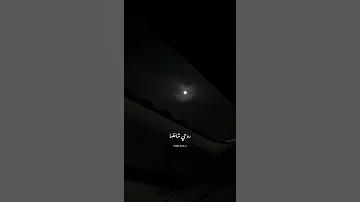 أنا ليك وعمري ما كون يا حبيبي غير ليك روحي شاغلها عمرو دياب 