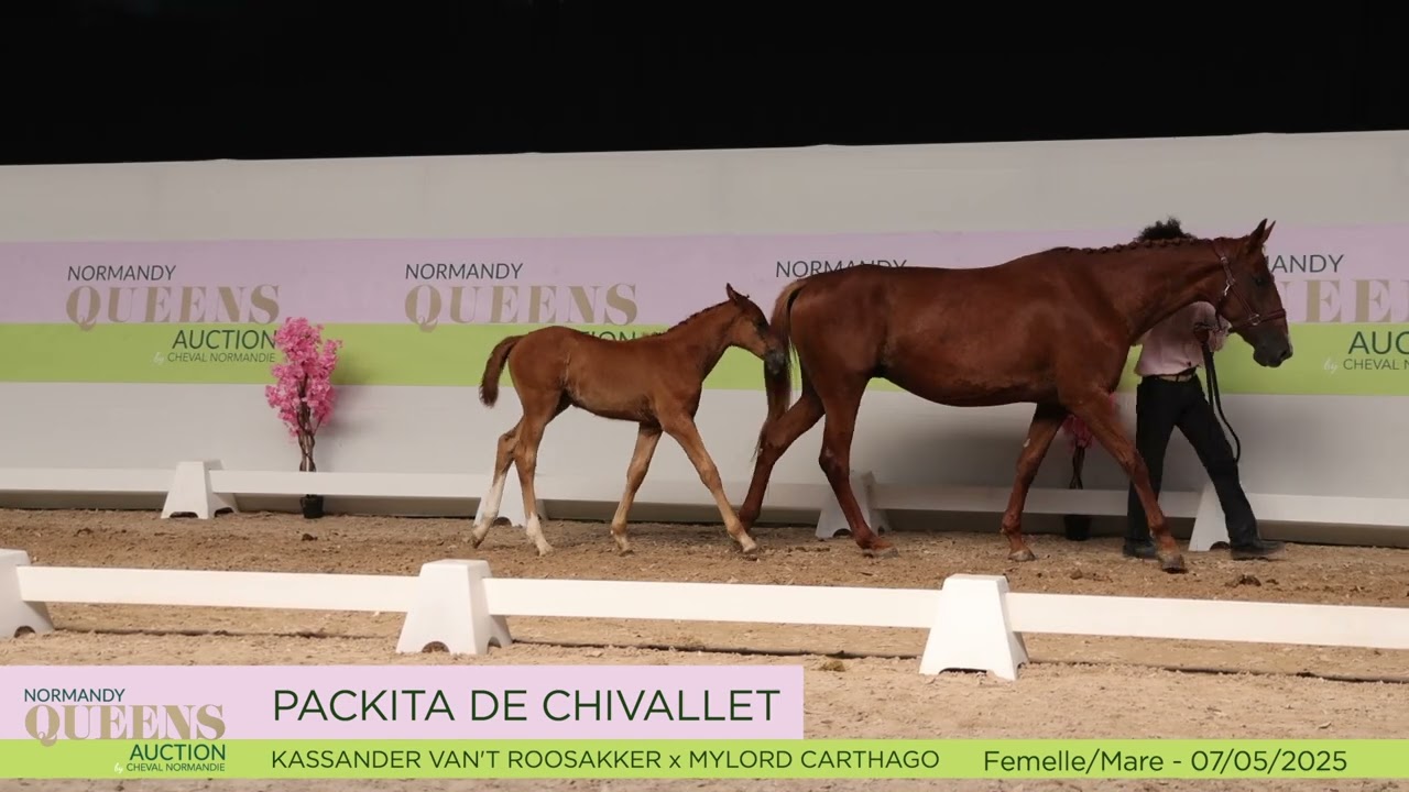 PACKITA DE CHIVALLET