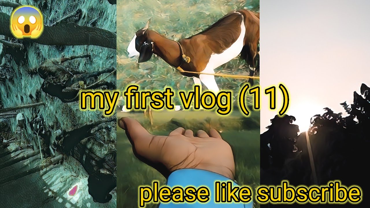 my first vlog 🥀 (12) please help like subscribe #minivlogshorts # ...