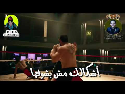 حالات واتس اب ريح شكلك راجل بظروفها 