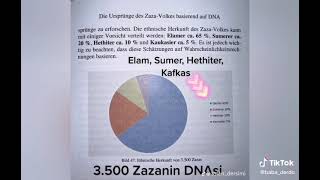 Zaza Halkin Dna Si İ Zazayi̇