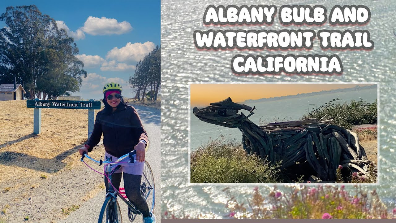 આલ્બેની