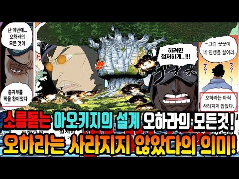 [원피스 분석] 소름돋는 아오키지의 설계 오하라의 모든것! 오하라는 사라지지 않다는 말의 의미!