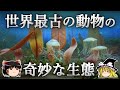 あまりに非効率な方法で生きていた地球最古の動物【ゆっくり科学】