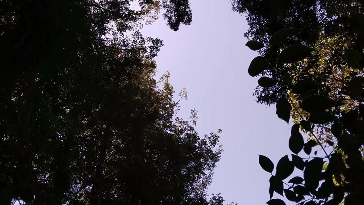 permanent Heat California  Diabolical weather  drought heat very serious  with this drought