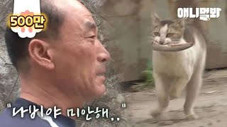 A Heartwrenching Tale Of A Cat Carrying Mackerel