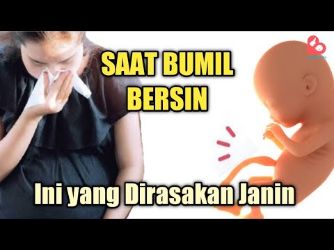 INILAH YANG TERJADI PADA JANIN SAAT BUMIL BERSIN