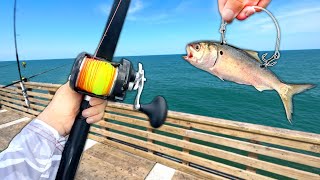 I Caught a GIANT at the End of the PIER!! (Catch and Cook)