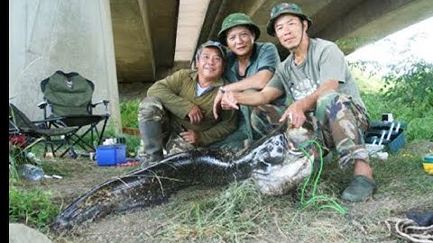 MỘT NGÀY ĐI CÂU VỚI CAO THỦ SĂN CÁ NHEO KHỔNG LỒ - PHẦN 1