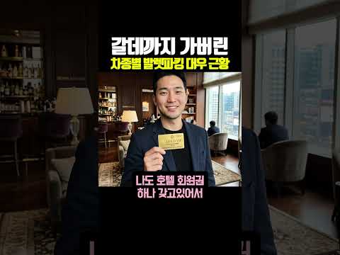 갈데까지 가버린 차종별 발렛파킹 대우 근황 thumbnail