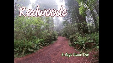 California Redwoods - 3 days Road Trip