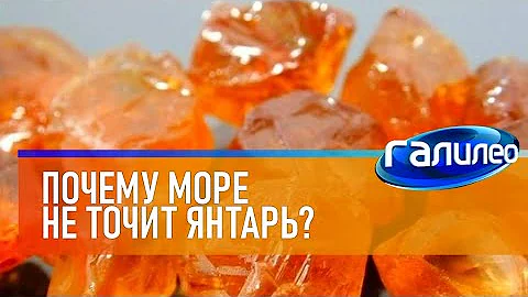 Галилео 🔶 Почему море не точит янтарь?