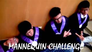 2017 PME Graduation Mannequin Challenge