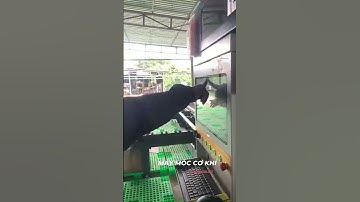 flycut trên máy cắt laser 3D CNC laser ống hộp #cnc #datyso #cnc #lasercuttinamachine