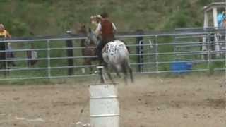 I Spy A Spot Arena Race For Sale