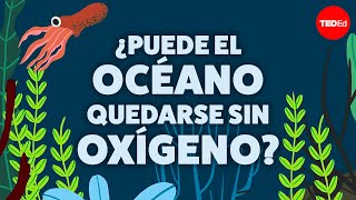 Thumbnail image for ¿Puede el océano quedarse sin oxígeno? - Kate Slabosky