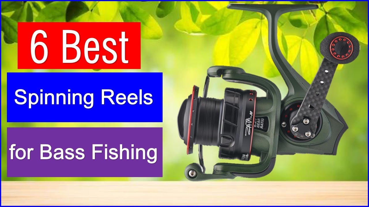 Top 6 Best Spinning Reels for Bass Fishing in 2025