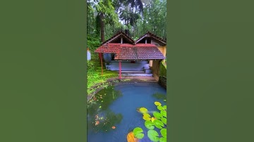 മഴ | treditional pond in kerala #KeralaRains #MonsoonVibes #RainyDay #goviral #trending #explore