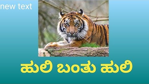 ಹುಲಿ ಬಂತು ಹುಲಿ - Huli bantu Huli ಪಾಠದ ವಿಶ್ಲೇಷಣೆ. 4th sem B.com BCU kannada text