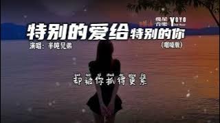 特别的爱给特别的你（咽嗓版） - 半吨兄弟 | 原唱：伍思凯 | 动态歌词/Lyrics