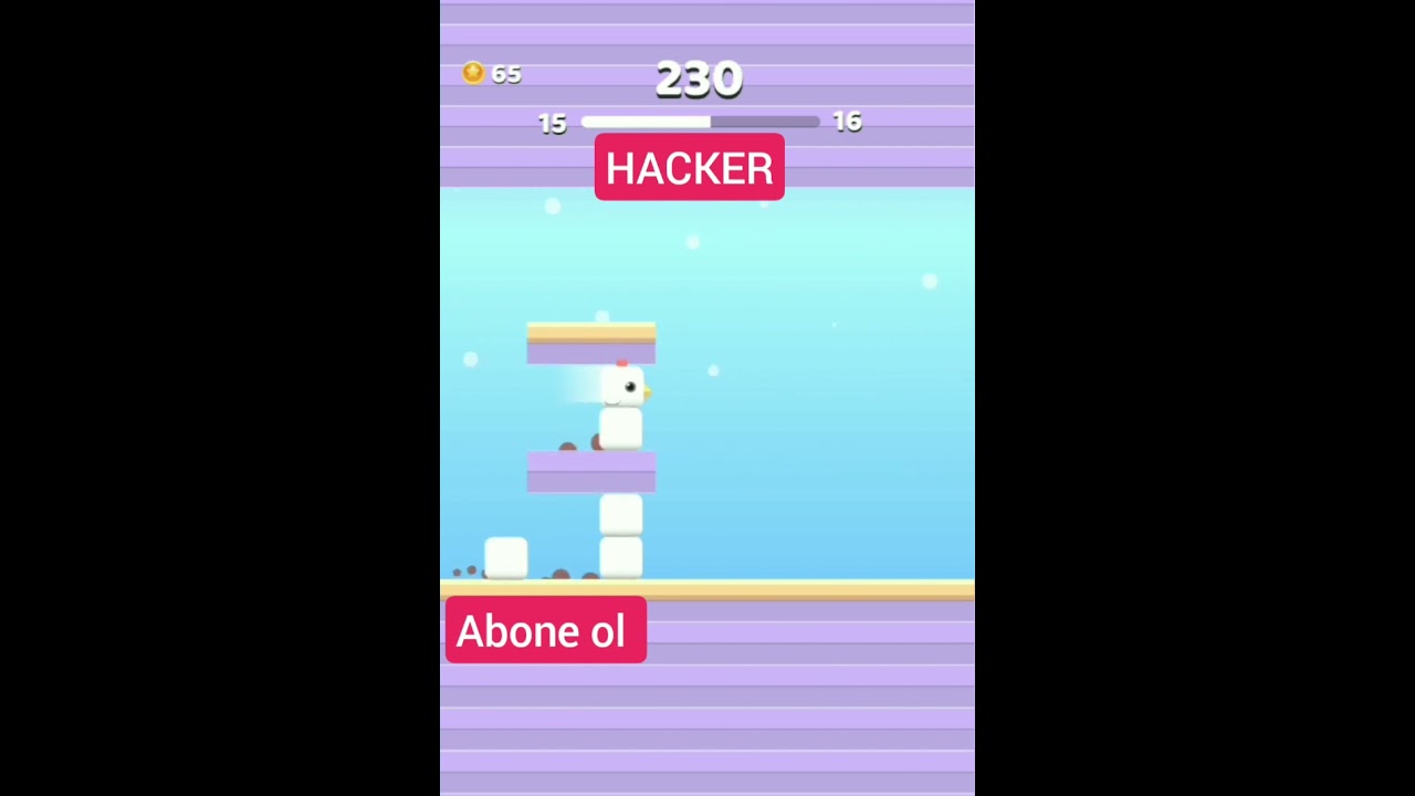 HACKER - Square Bird