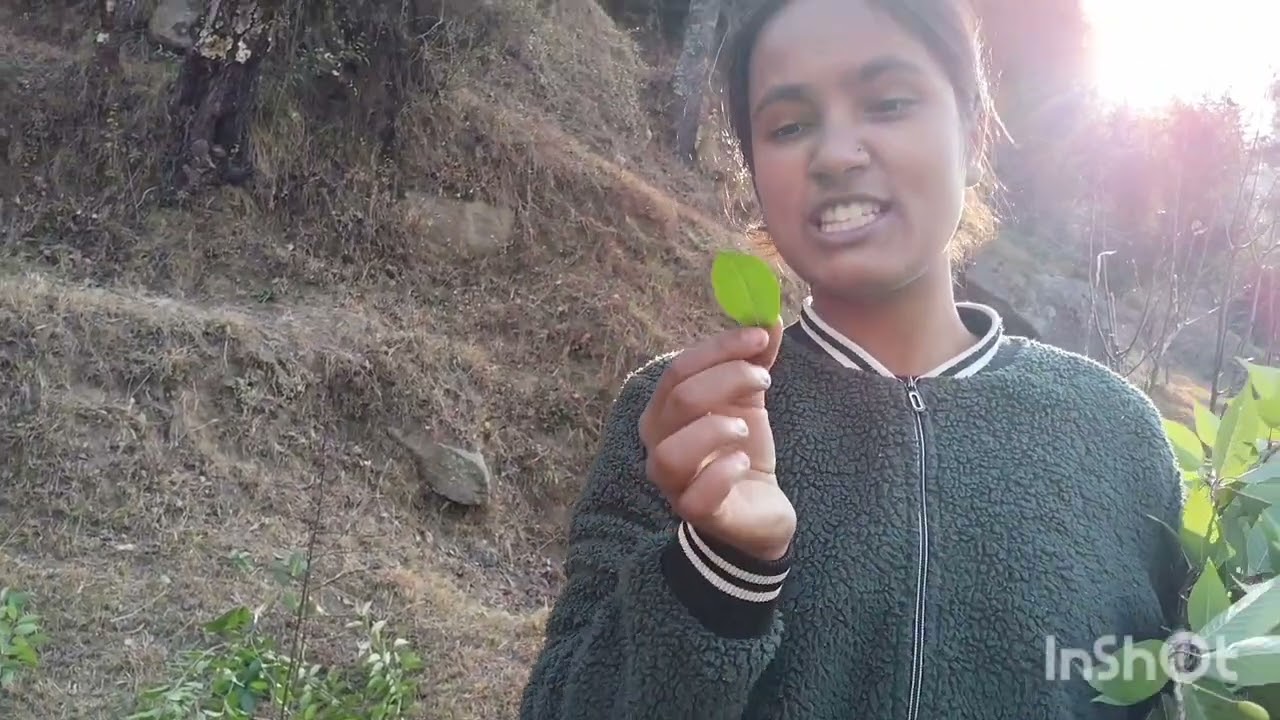 Paaja nikalne ke liye  struggle 