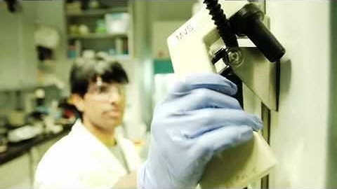 Biomedical Engineering at the University of Toronto