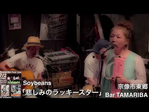 Soybeans「悲しみのラッキースター」＠bar TAMARIBA7/2'23