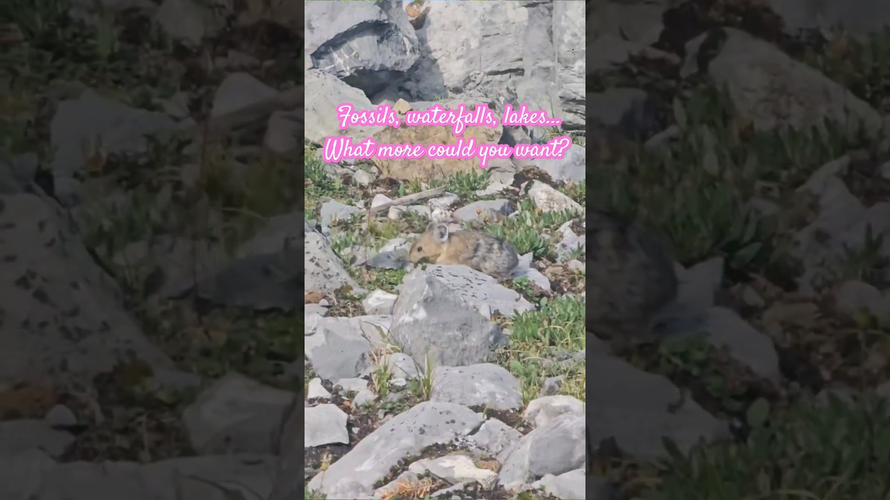 FOSSILS, WATERFALLS AND MOUNTAIN LAKES. 💙 