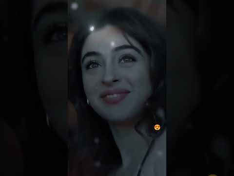 زينك دامار Shorts 