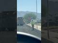Tesla FSD gets confused during road construction