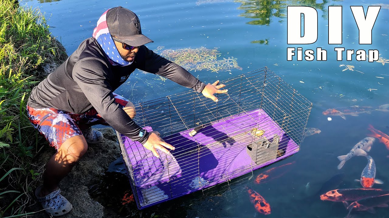 DIY Dollar Store Fish Trap #fishin #fishingtiktoks #fishtrap