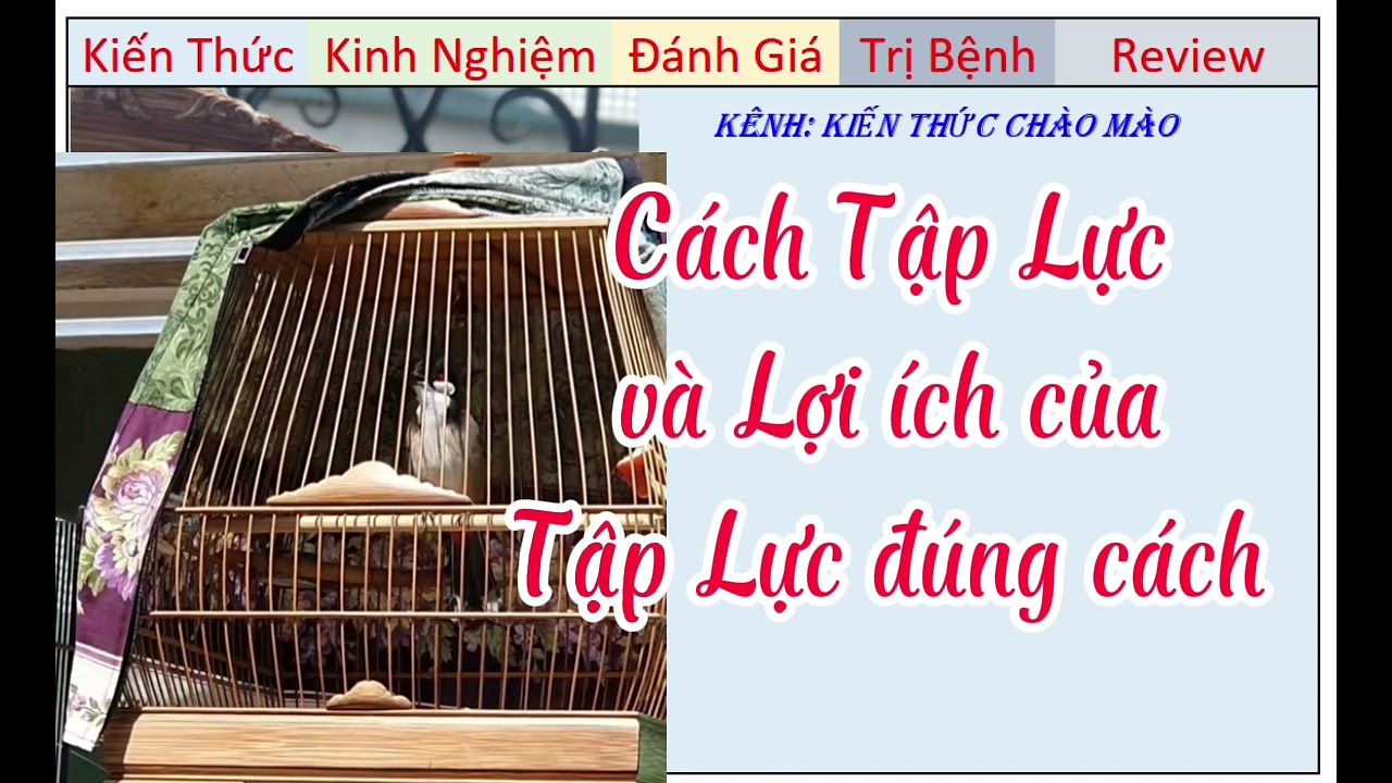 Kỹ năng Tập Lực và lợi ích của Tập Lực đúng là như thế nào?