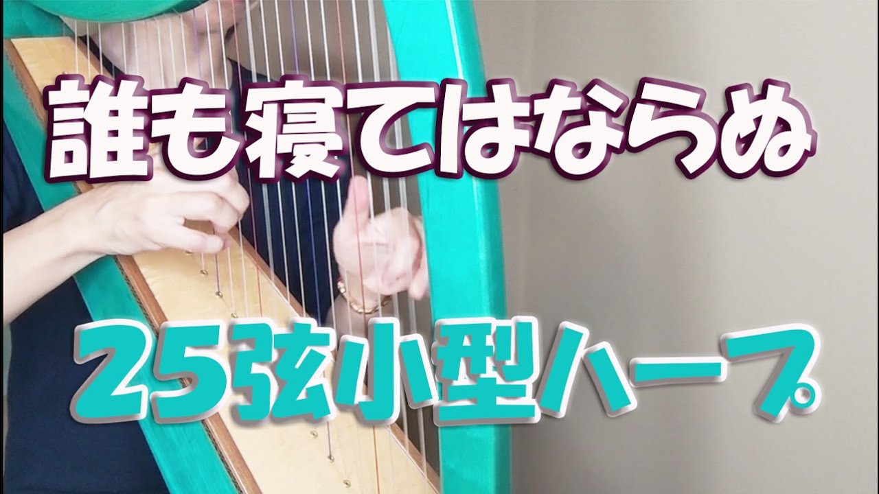 誰も寝てはならぬ②】 Nessun Dorma② 25弦サウルハープ演奏動画 小型
