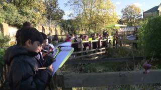 The Garden Classroom