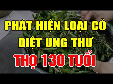 Video CÂY CỎ MỰC Dùng Theo Cách Này Có Ngay THẦN DƯỢC DI.ỆT... - youtube