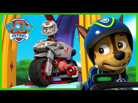 CHASE & WILDCAT STOP THE RUFF-RUFF PACK 🐶😸 + MORE CARTOONS FOR KIDS | PAW PATROL