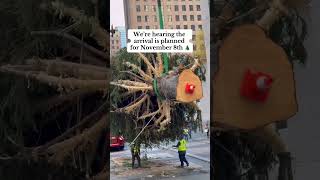 🎄 When Will the 2025 Rockefeller Center Christmas Tree Arrive in NYC?