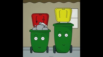 Upgrade Your Bin Size - Central Coast