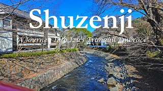 Shuzenji: A Journey into Izu's Tranquil Embrace. 2 nights at AKARI et KAORI Shizuoka Japan