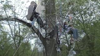 treeclimbingwidescreen