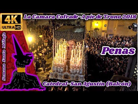 Venerable Hermandad de la Caridad en Cristo Nuestro Señor y Cofradía de Nazarenos del Santísimo Cristo de la Agonía, María Santísima de las Penas, Reina y Madre, y Santo Domingo de la Calzada