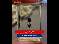 هل النمل خلق من زجاج 