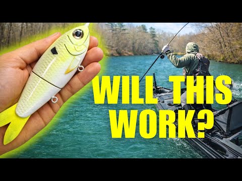 Did I Catch the Biggest Bag of my Life?