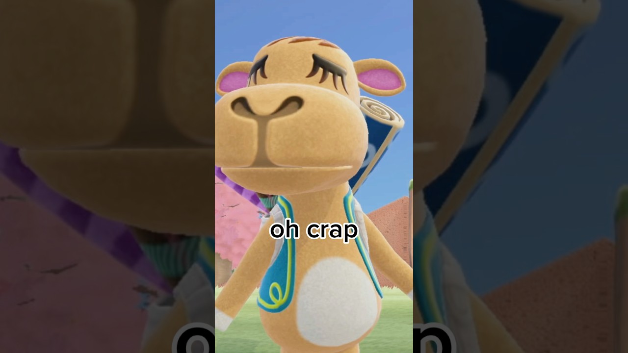 Buy LOTS OF RUGS!! Please 🥹🫶 ACNH memes 2024 | animal crossing new horizons