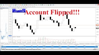 Thats How You Beat The Market In Forex Trading - The 1% Trading Strategy
