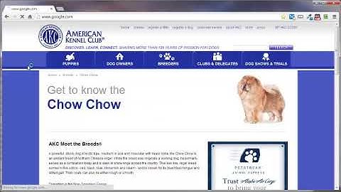 vid10 HTML Comments Tag