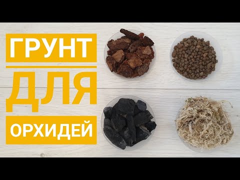 Лучший грунт для орхидей || Во что посадить орхидею